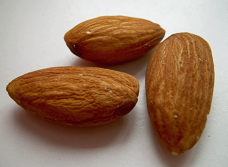almonds4