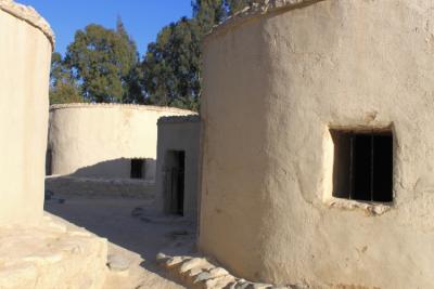 chirokiktia