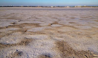 saltlake2