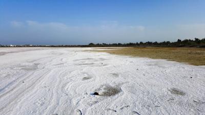saltlake6