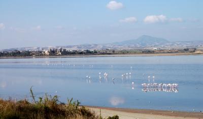 saltlake9