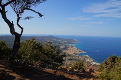 aa6